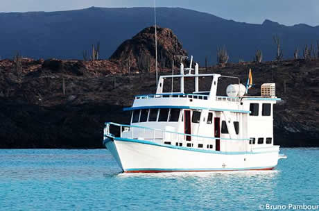 Descripción: C:\Users\Marine Adventure\Desktop\Flamingo001\editadas\foto portada principa.jpg