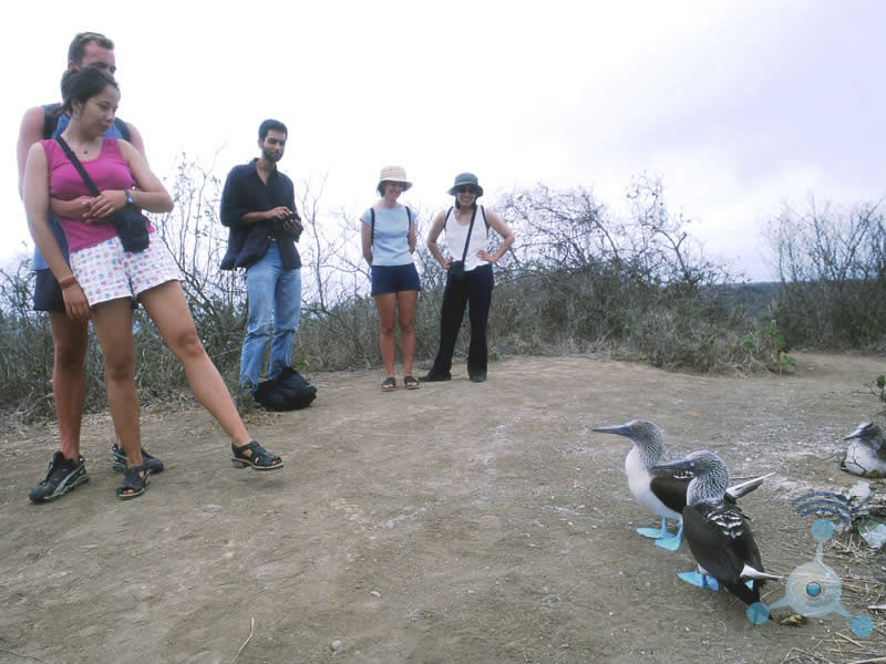 galapagos day trips